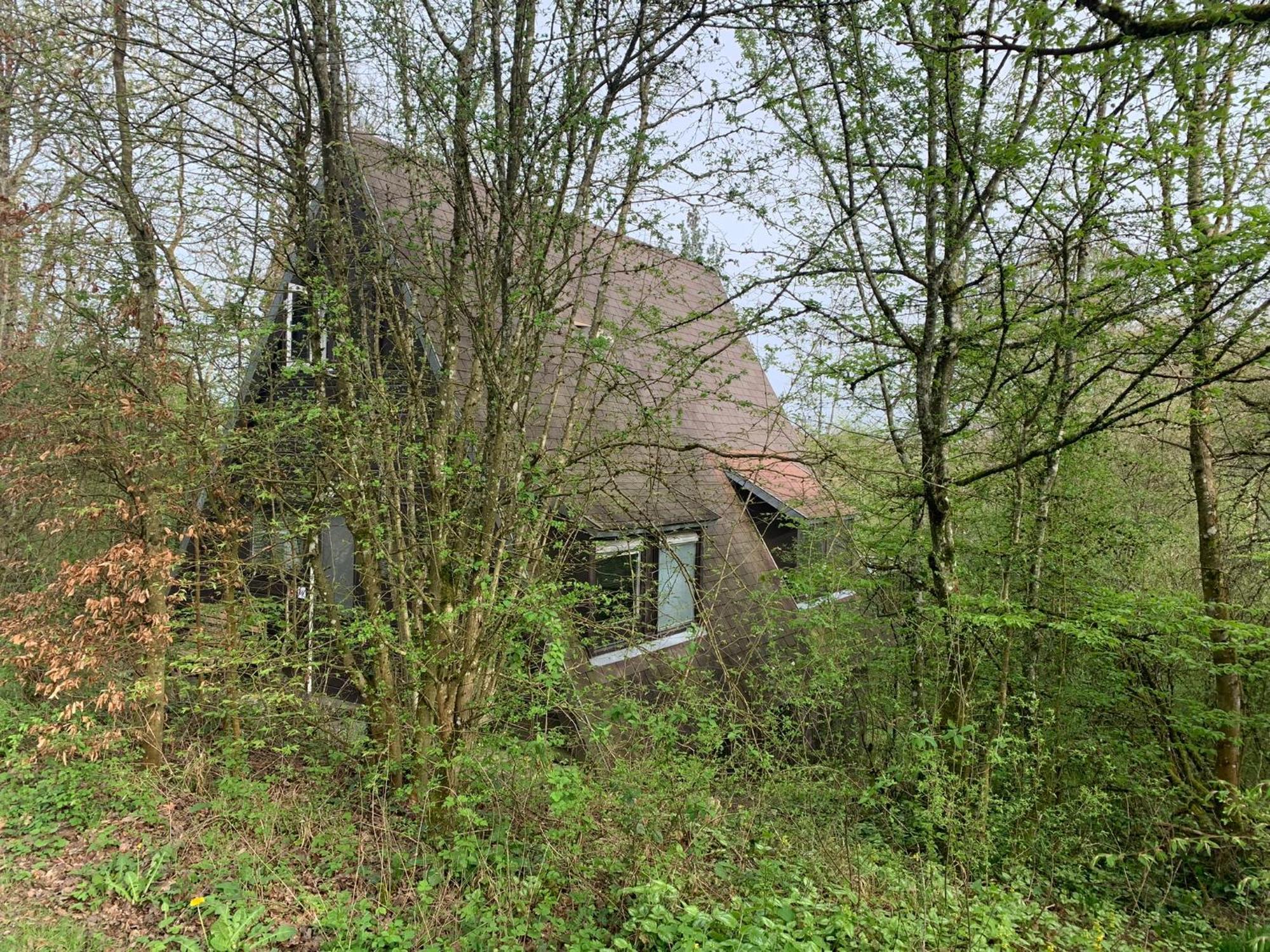 Heerlijk Vakantiehuis In Bos Bij Durbuy Ngoại thất bức ảnh